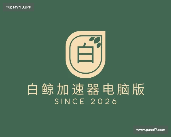 关于白鲸加速器电脑版