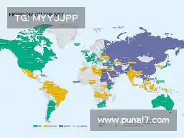 白鲸加速器使用体验——深入剖析流量,助您实现网站效能提升!